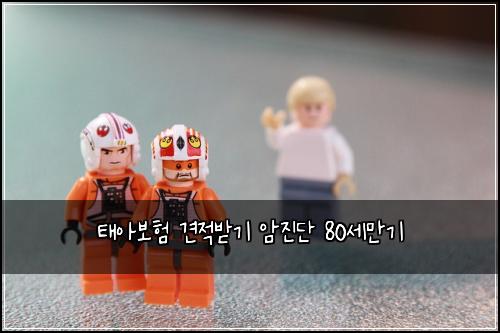 태아보험 견적받기  암진단 80세만기