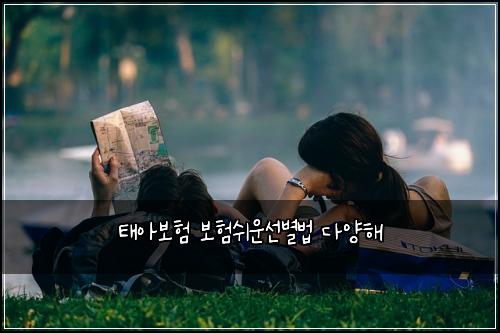 태아보험 보험쉬운선별법 다양해