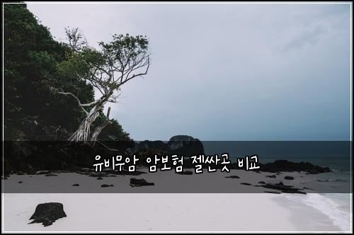 유비무암 암보험 젤싼곳  비교