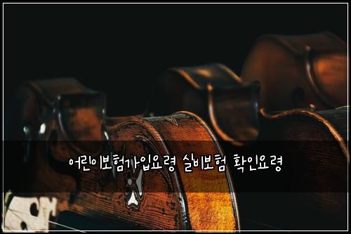 어린이보험가입요령 실비보험 확인요령