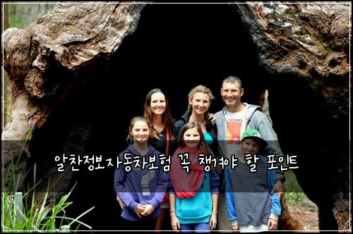 알찬정보자동차보험 꼭 챙겨야 할 포인트