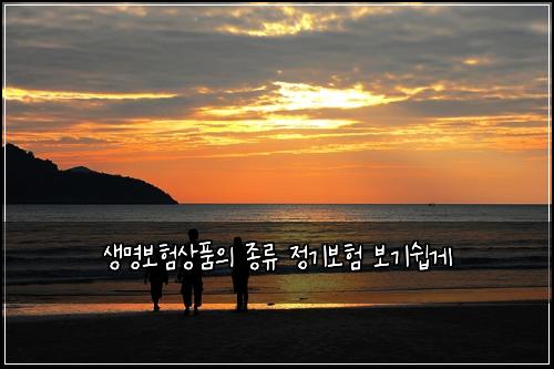 ์๋ช
๋ณดํ์ํ์ ์ข
๋ฅ ์ ๊ธฐ๋ณดํ ๋ณด๊ธฐ์ฝ๊ฒ