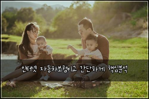 인터넷 자동차보험비교 간단하게 핵심분석