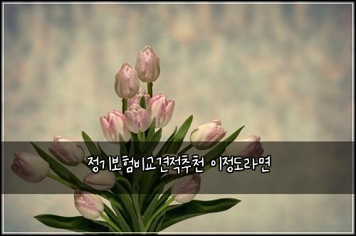 정기보험비교견적추천 이정도라면