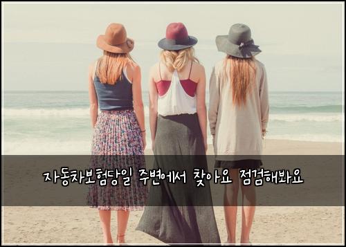 ์๋์ฐจ๋ณดํ๋น์ผ ์ฃผ๋ณ์์ ์ฐพ์์ ์ ๊ฒํด๋ด์