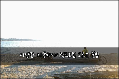 다양한 자동차다이렉트보험 고르는 꿀팁
