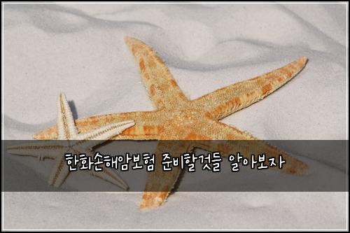 한화손해암보험 준비할것들  알아보자