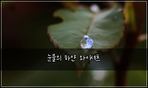 눈물의 하얀 와이셔츠