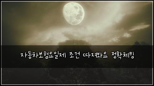 자동차보험요일제 조건 따져봐요 정확체킹