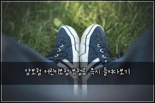 암보험 어린이보험 보험료 즉시 들여다보기