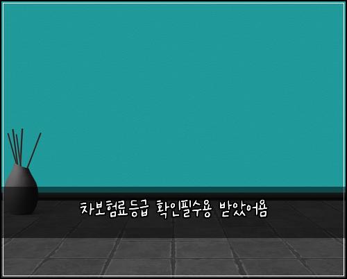 ์ฐจ๋ณดํ๋ฃ๋ฑ๊ธ ํ์ธํ์์ฉ ๋ฐ์์ด์ค