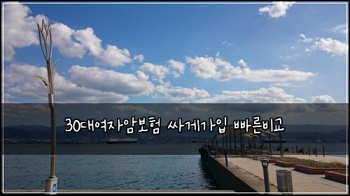 30๋์ฌ์์๋ณดํ ์ธ๊ฒ๊ฐ์
๋น ๋ฅธ๋น๊ต