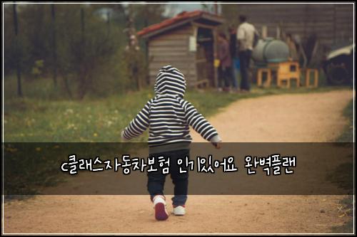 cํด๋์ค์๋์ฐจ๋ณดํ ์ธ๊ธฐ์์ด์ ์๋ฒฝํ๋