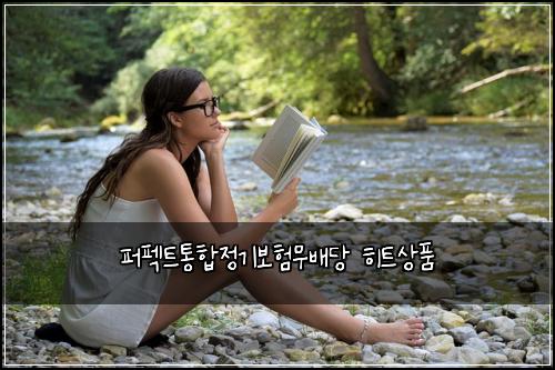 퍼펙트통합정기보험무배당 히트상품