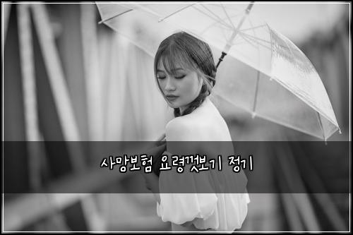 사망보험 요령껏보기  정기