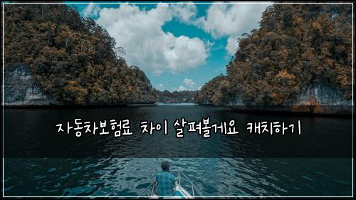 자동차보험료 차이 살펴볼게요 캐치하기