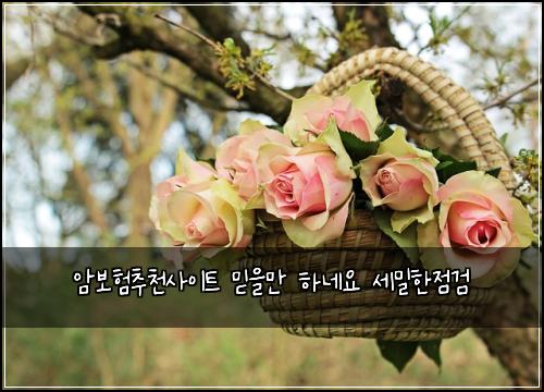 암보험추천사이트 믿을만 하네요 세밀한점검