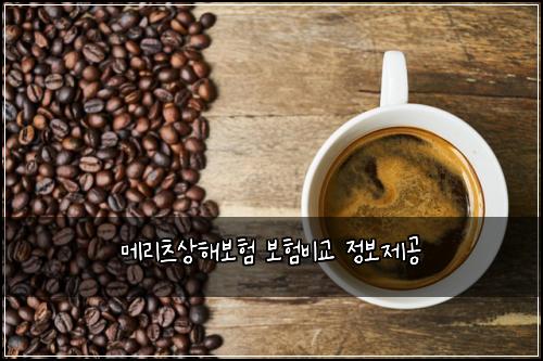 메리츠상해보험 보험비교 정보제공