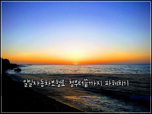 일일자동차보험료 첨부터끝까지 파헤치기