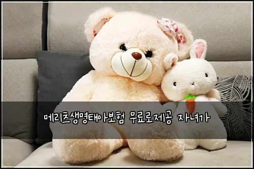 메리츠생명태아보험 무료로제공  자녀가