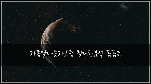 차종별자동차보험 철저한분석  꼼꼼히