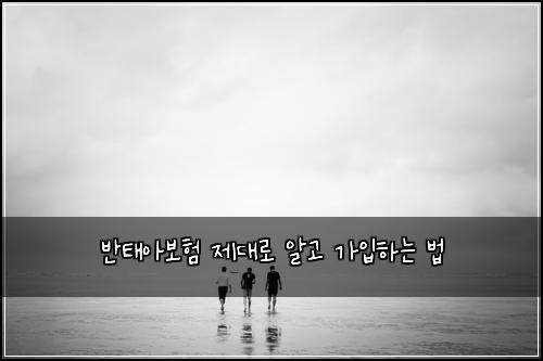 반태아보험 제대로 알고 가입하는 법