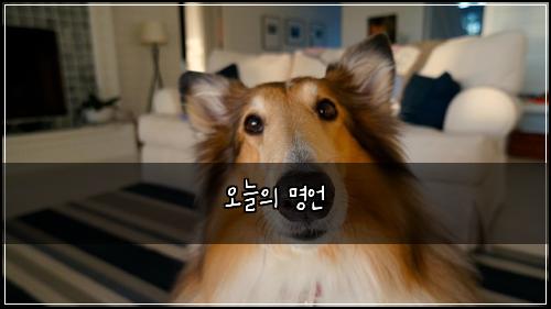 오늘의 명언