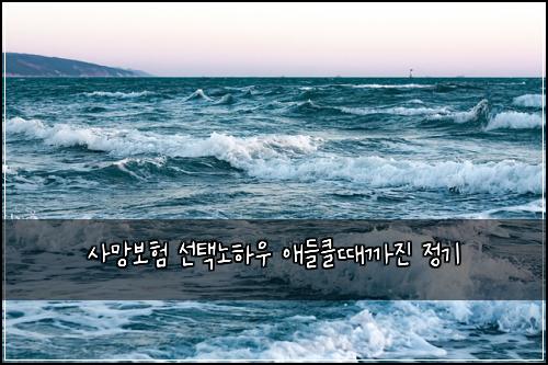 사망보험 선택노하우  애들클때까진 정기
