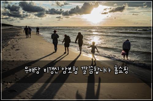 무배당 비갱신 암보험 깔끔합니다  홈쇼핑