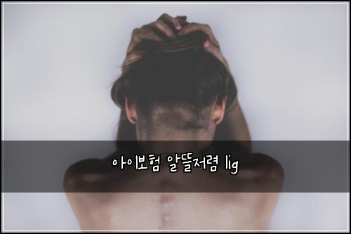 아이보험 알뜰저렴  lig