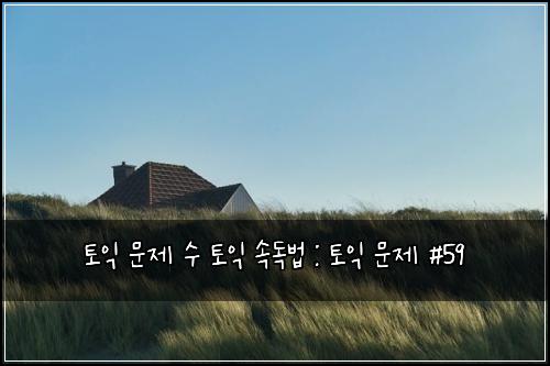 토익 문제 수 토익 속독법 : 토익 문제 #59