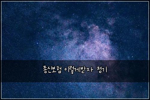 종신보험 이렇게받자  정기