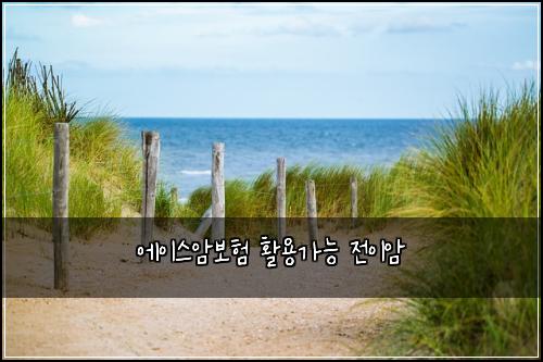 에이스암보험 활용가능  전이암