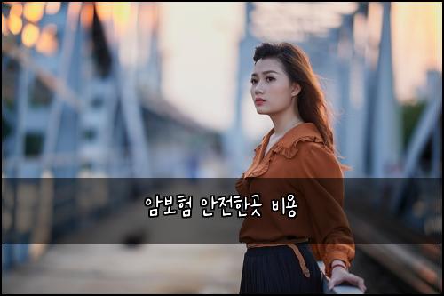 암보험 안전한곳  비용