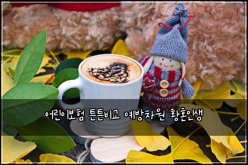 어린이보험 튼튼비교  예방차원 황혼인생