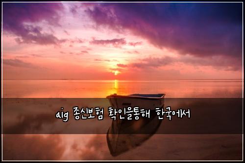 aig 종신보험 확인을통해  한국에서