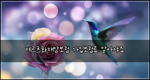 메르츠화재암보험 가입보험료  알아야죠
