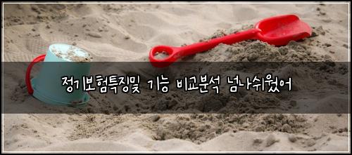 정기보험특징및 기능 비교분석 넘나쉬웠어