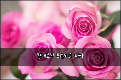 현대보험 최신비교  태아