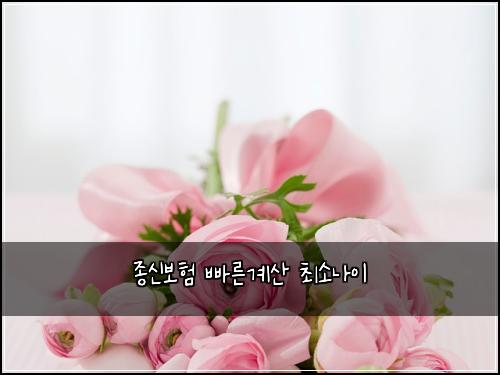 종신보험 빠른계산  최소나이