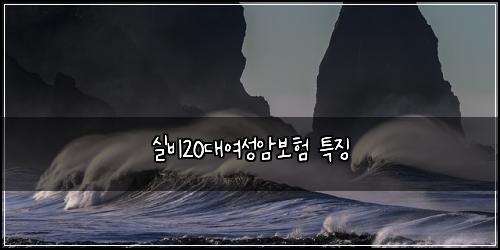 실비20대여성암보험 특징 
