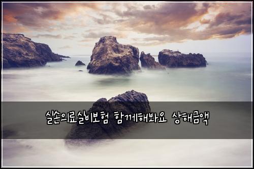 실손의료실비보험 함께해봐요  상해금액