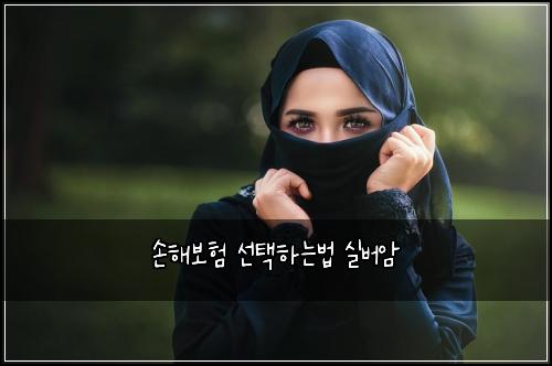 μν΄λ³΄ν μ ννλλ² μ€λ²μ