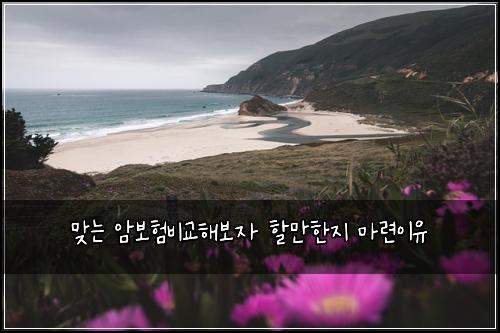 맞는 암보험비교해보자 할만한지 마련이유