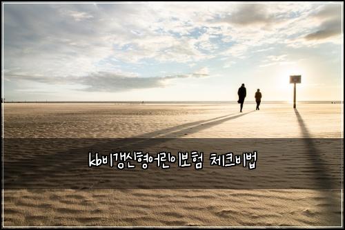 kb비갱신형어린이보험 체크비법 