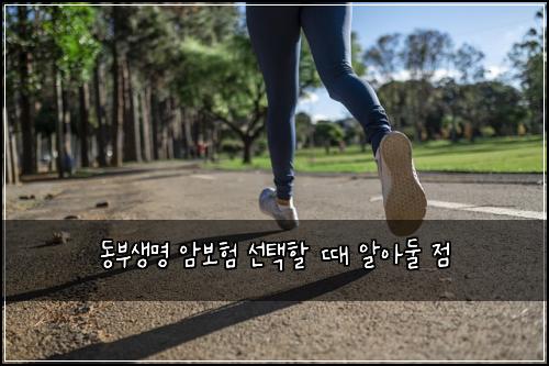동부생명 암보험 선택할 때 알아둘 점