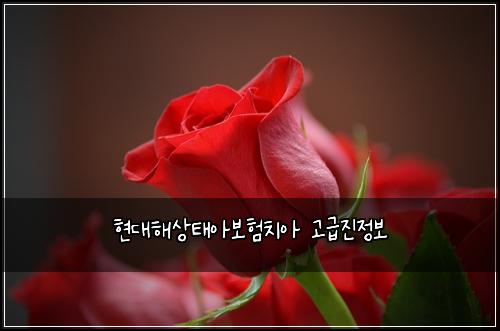 νλν΄μνμ보νμΉμ κ³ κΈμ§μ 보