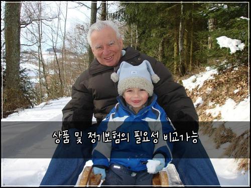 상품 및 정기보험의 필요성 비교가능