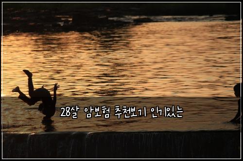28살 암보험 추천보기  인기있는
