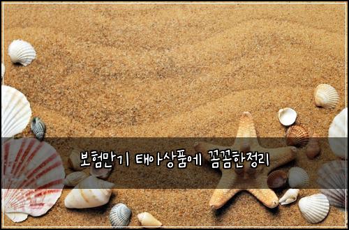 보험만기 태아상품에 꼼꼼한정리